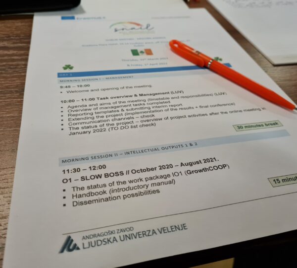 Partnersko srečanje v Dublinu – SNAIL