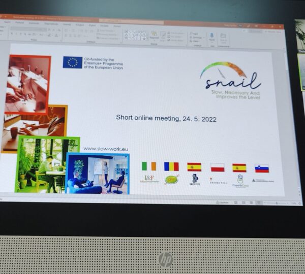 Krajši spletni sestanek partnerjev v projektu SNAIL