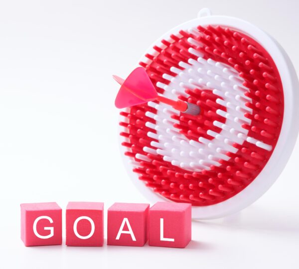 Projekt GOAL – svetovanje odraslim v izobraževanju