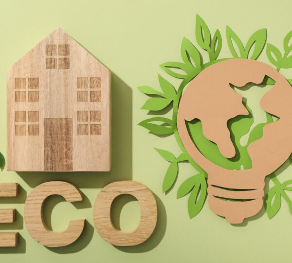 EcoLitAct – Eco-literacy and green education for climate action
