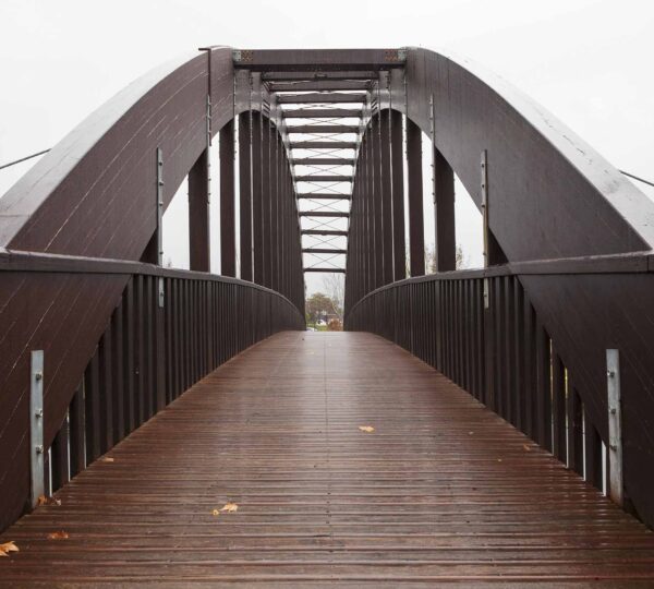 Projekt Bridge – Bridging the digital gap for elders