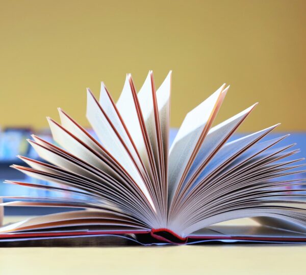 RED – Reinforce Europeans digital, literacy and numeracy skills