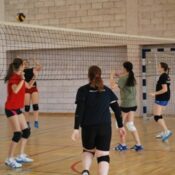 ????????????????????????????????????