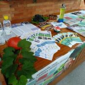 IMG-21a18e7d755453ddf6a19bd5ed41d3a1-V