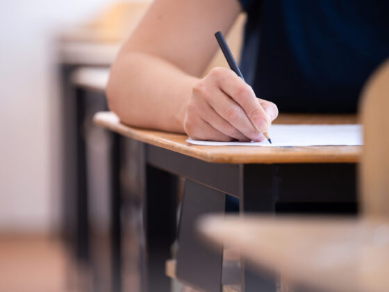 Priprave na izpit iz slovenskega jezika