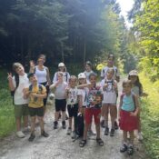 IMG-2b1c50c5901143382a1cb252920a956d-V