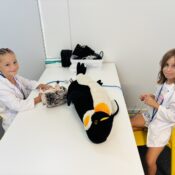 IMG-3f8fbd26bed78a2ed3cc5c887084776b-V