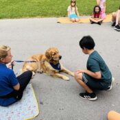 IMG-49655e1964cf3e6a39cf9c47d780e348-V